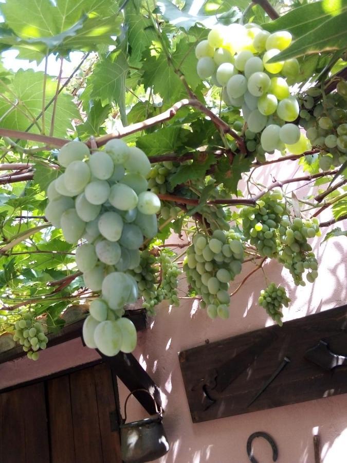 Belli Come Il Sole Serri Dış mekan fotoğraf