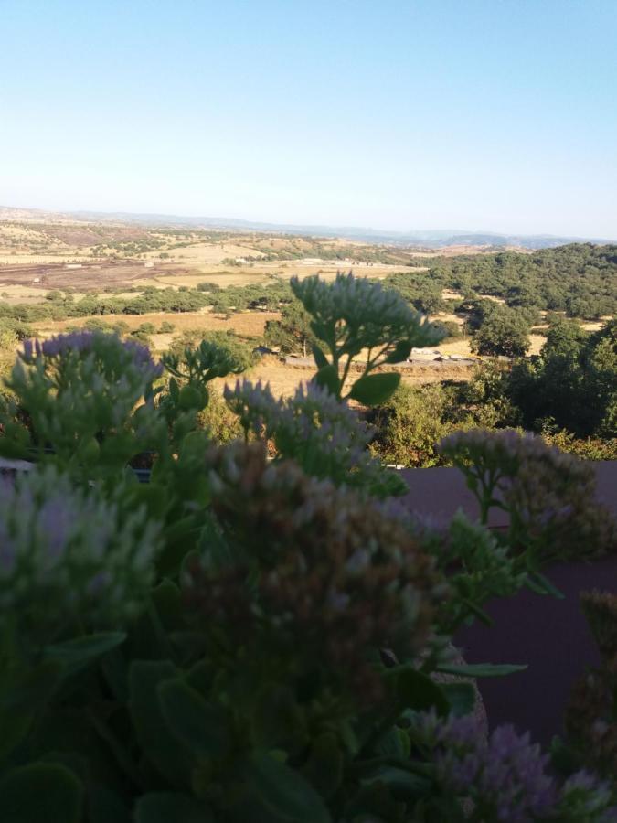 Belli Come Il Sole Serri Dış mekan fotoğraf