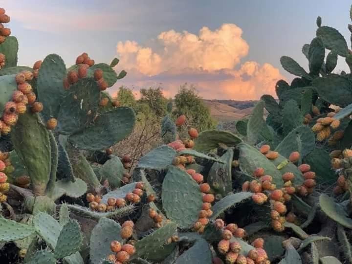 Belli Come Il Sole Serri Dış mekan fotoğraf